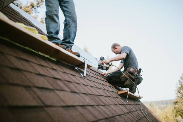 Best Roof Leak Repair  in Greentree, NJ